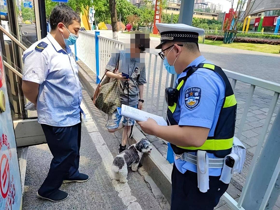 添猫出行司机端苹果版下载:女子牵宠物狗上公交被司机劝阻 民警：确实不行，有这个规定