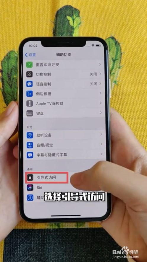 如何打开应用锁苹果版强行解除iphone与物主锁定-第1张图片-太平洋在线下载