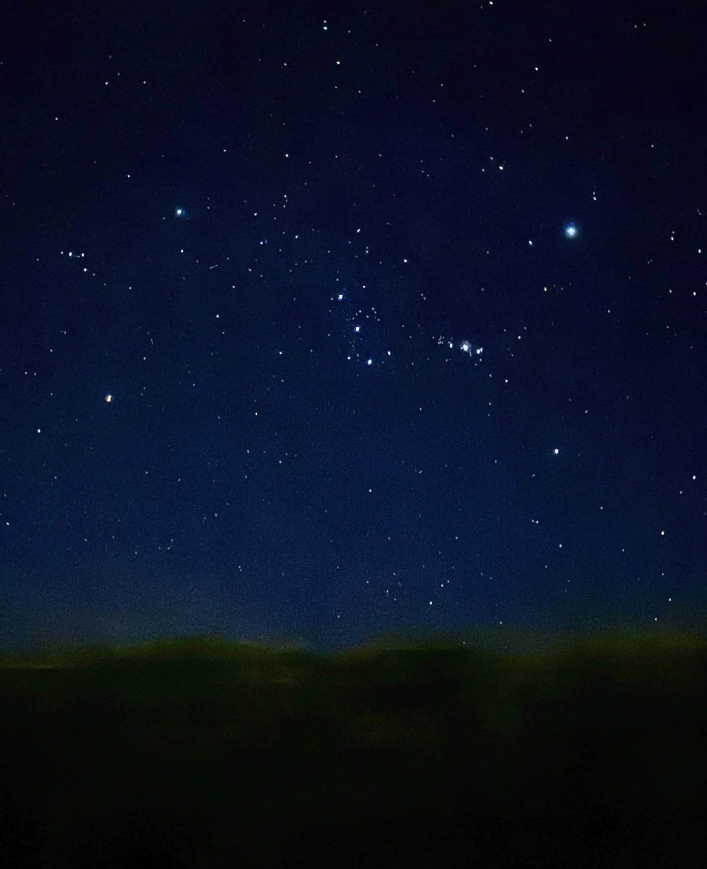 火萤虫视频壁纸安卓版(火萤壁纸app官方下载)-第2张图片-QuickQ官网