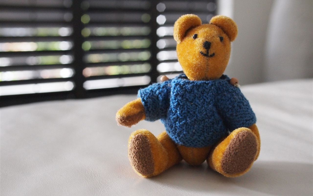 泰迪熊苹果版(泰迪熊软件下载)