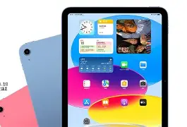 苹果版sb(苹果版顺丰小哥)